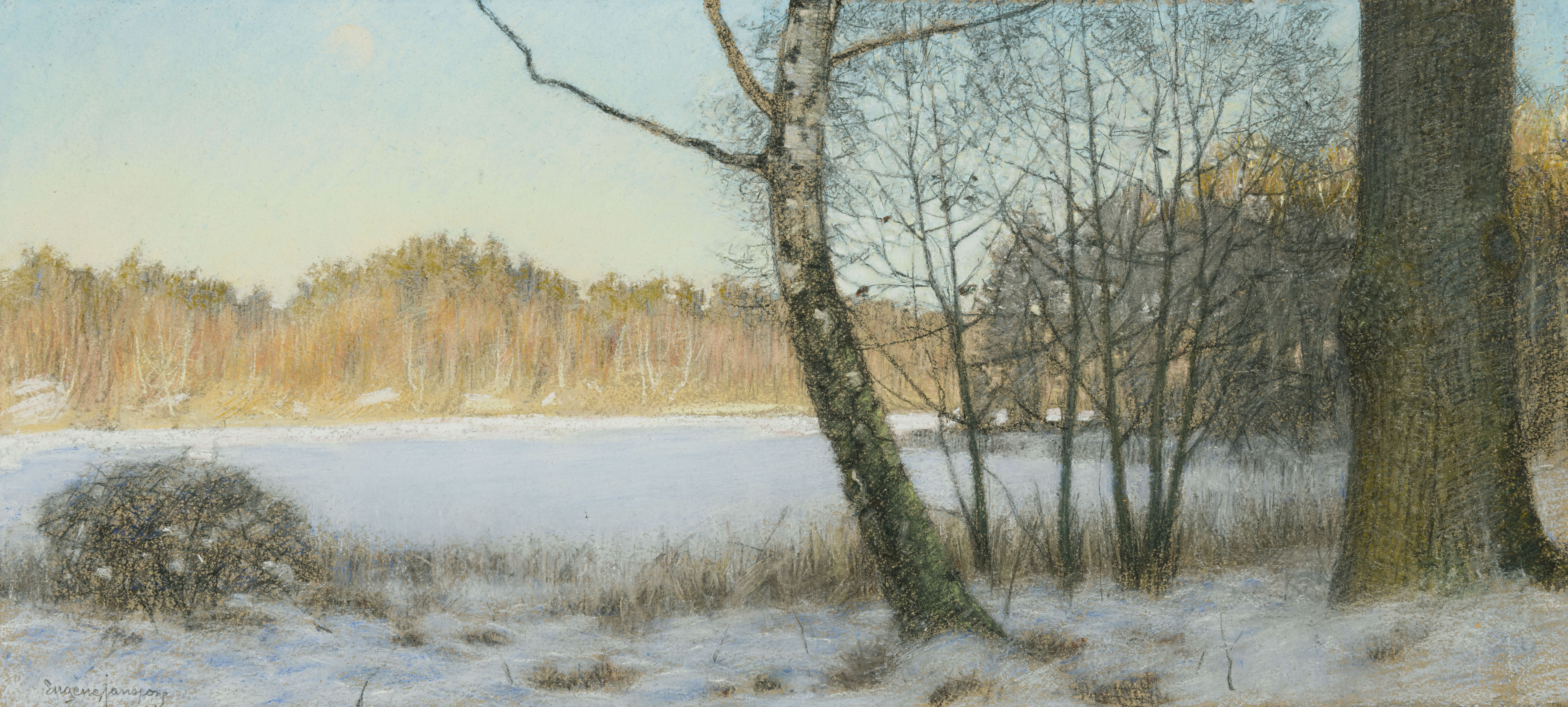 Winter Landscape